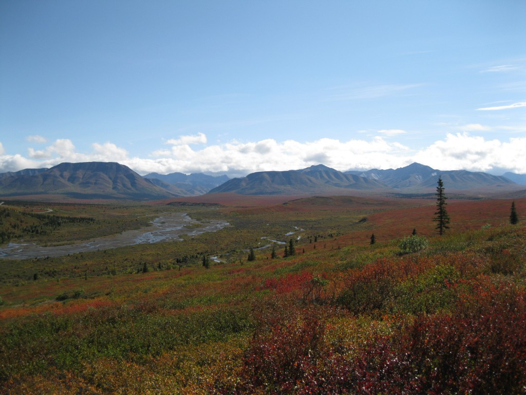 The Alaska Range seen from Thorofare Ridge