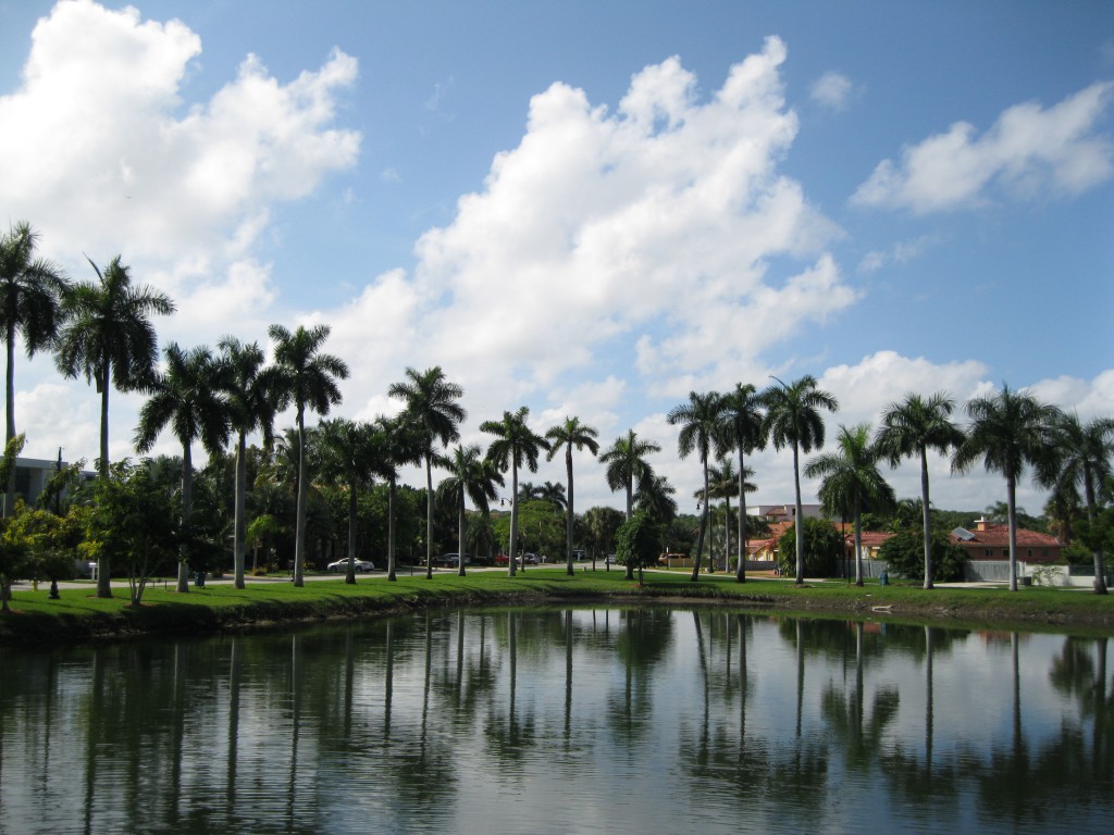 Pond on Atlantic Isle, Sunny Isles Beach