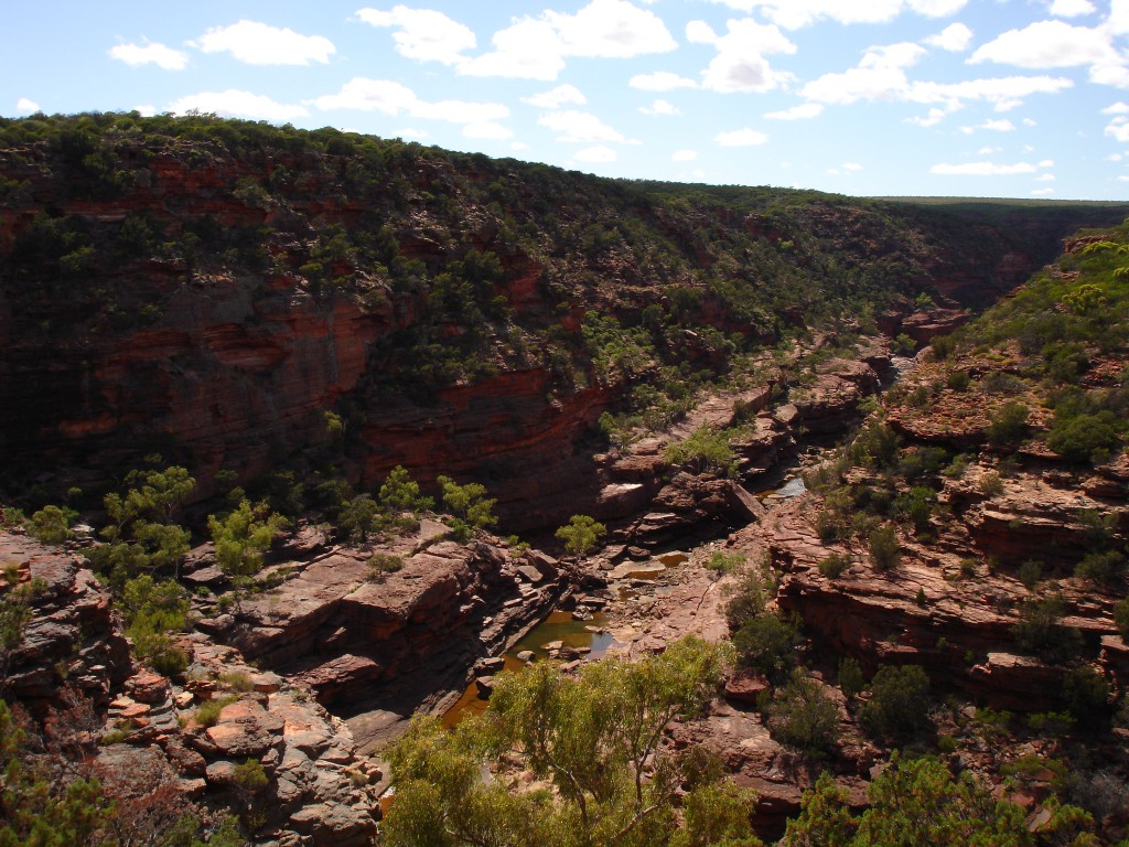 Muchison River at Z-Bend Lookout