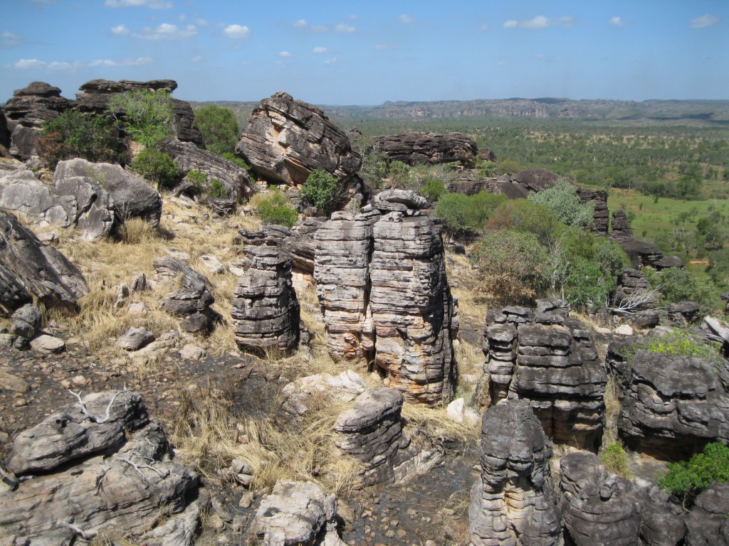 Injalak Hill and the Escarpment in the background