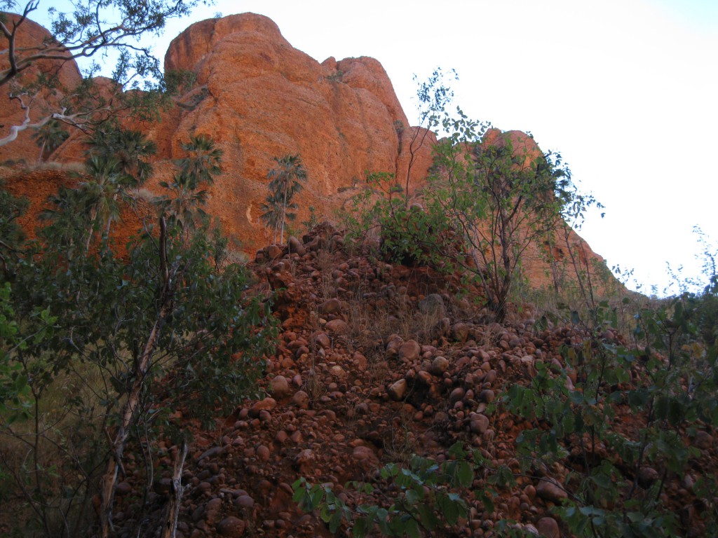 Conglomerate at Echidna Chasm