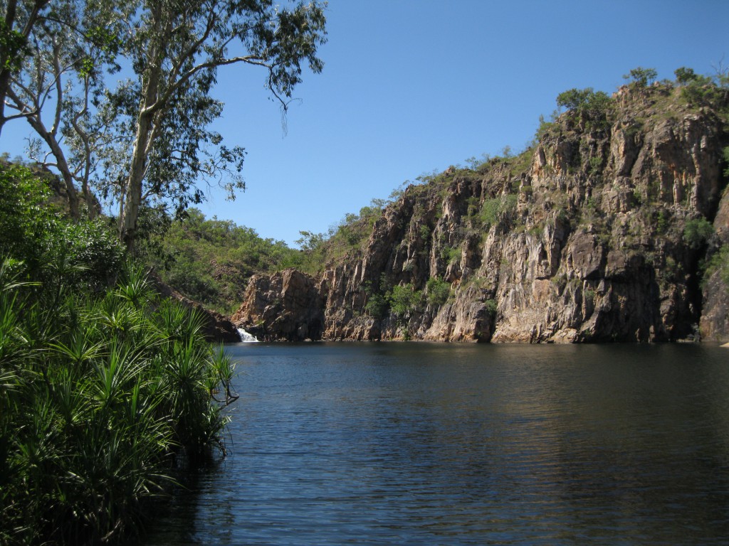 The Edith Falls Plunge Pool
