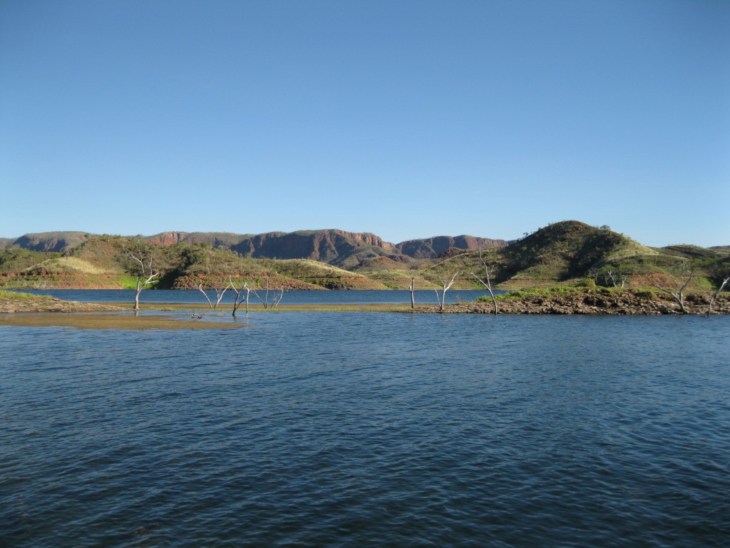 Vegetation in the lake between Islands