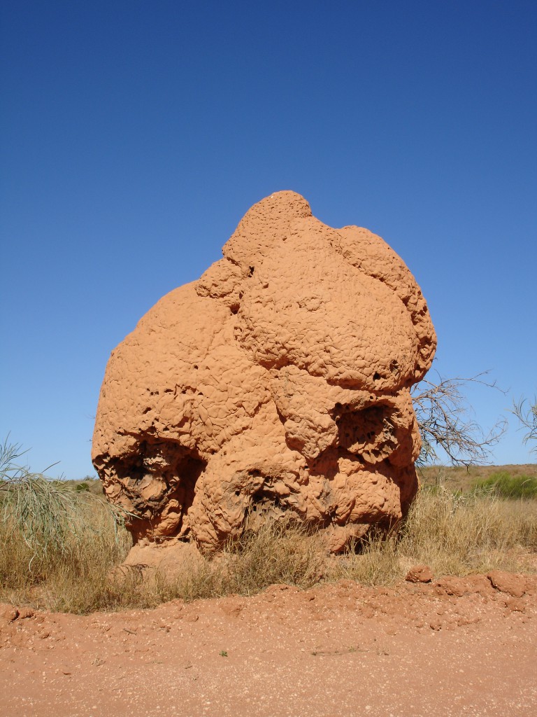 Termite Mound at the road leaving Shearer's Quarters