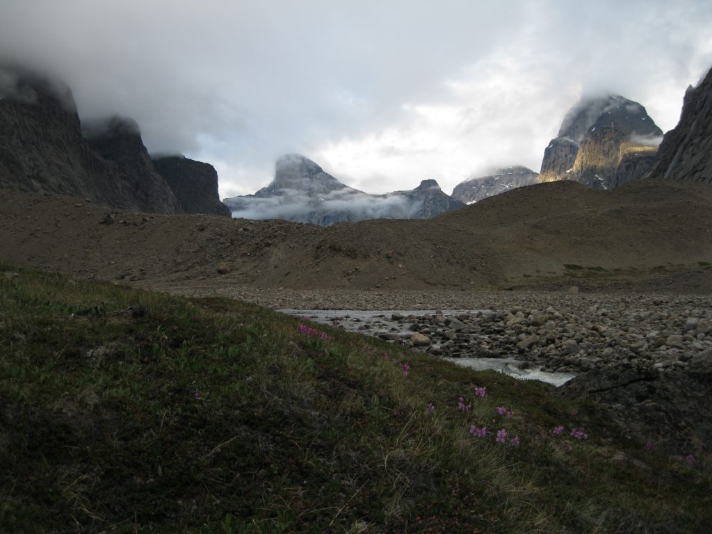 Golden Hour on Peaks around Mount Thor with Dwarf Fireweed, the Weasel River and Windy Lake Moraine in the foreground