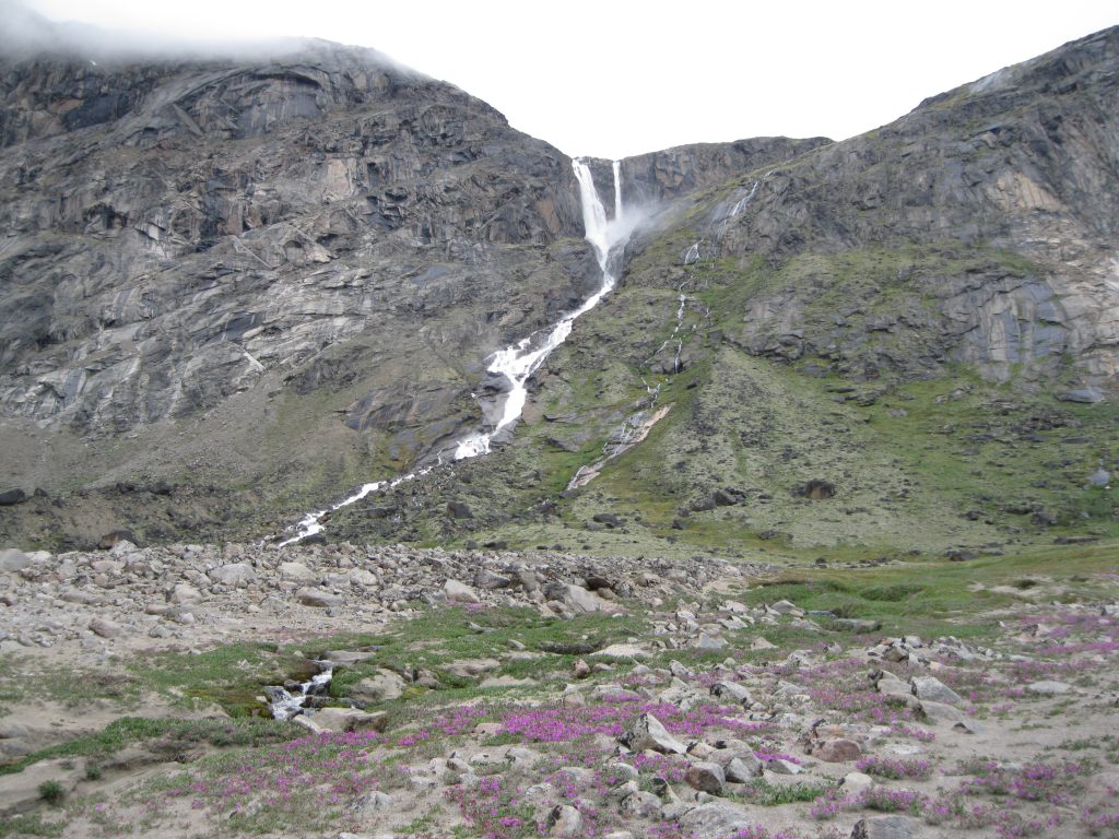 Schwarzenbach Falls fronted by Dwarf Fireweed