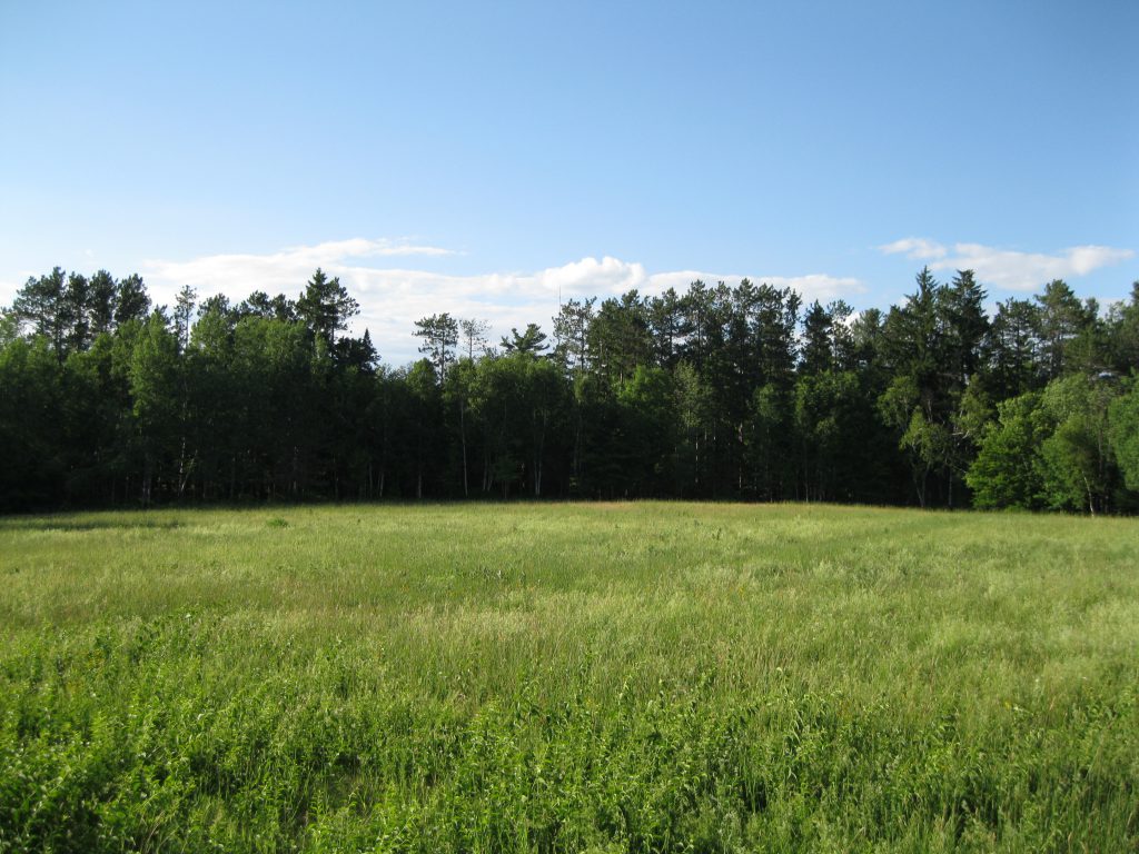 The Meadow opposite the Moorside Cottage at the Mackenzie King Estate