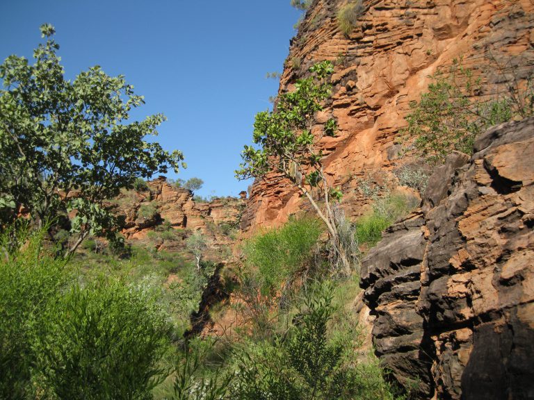 Mirima National Park, Western Australia – Journeyscope